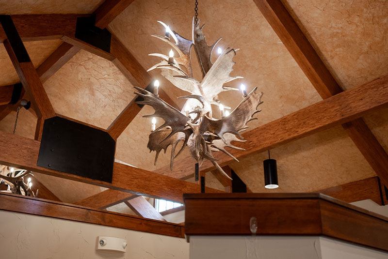 buck antler lights