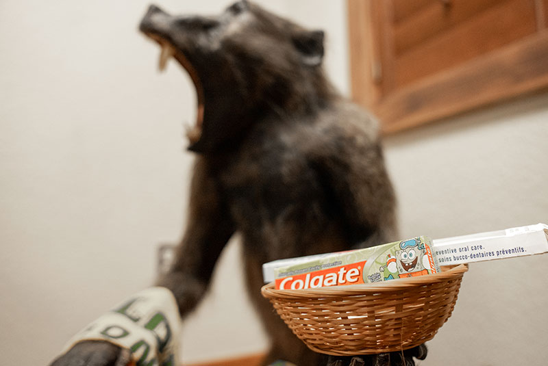 toothpaste in basket